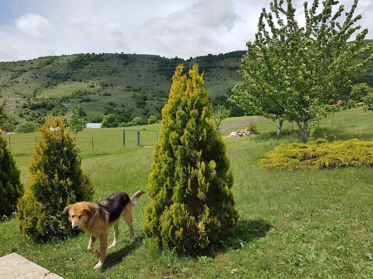 Holiday Home Zavicaj Plužine Esterno foto