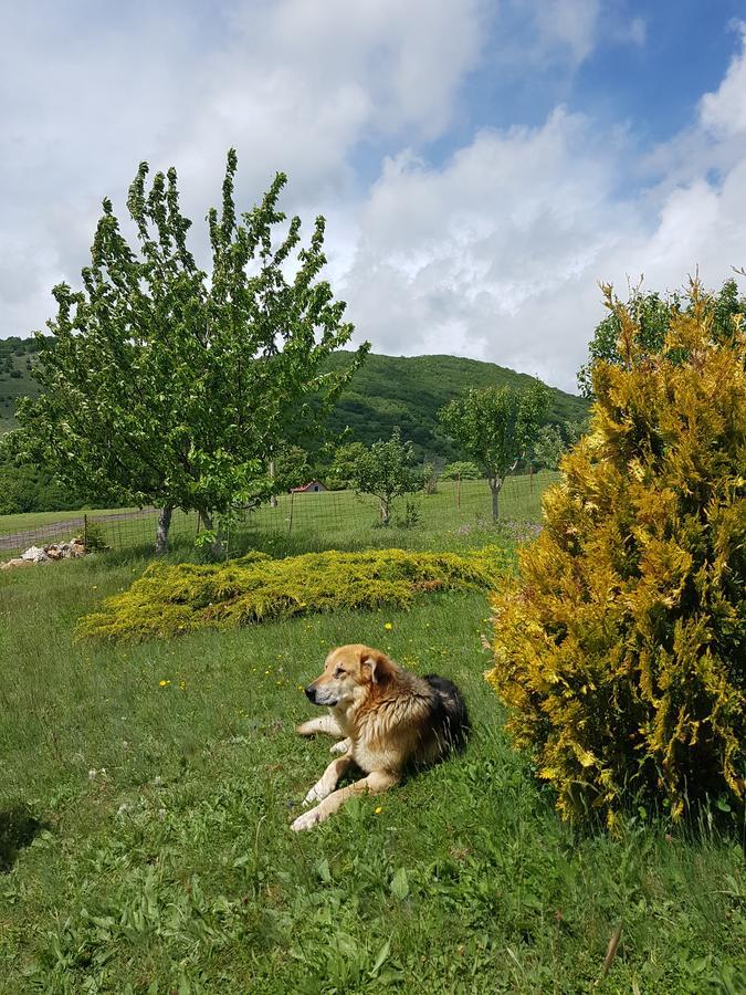 Holiday Home Zavicaj Plužine Esterno foto